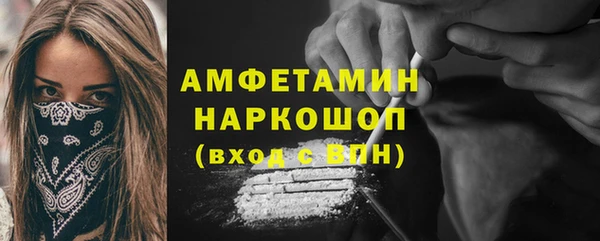 индика Богородск