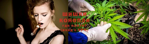 шишки Богданович
