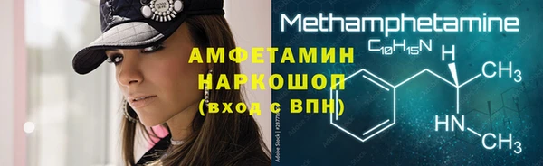 индика Богородск
