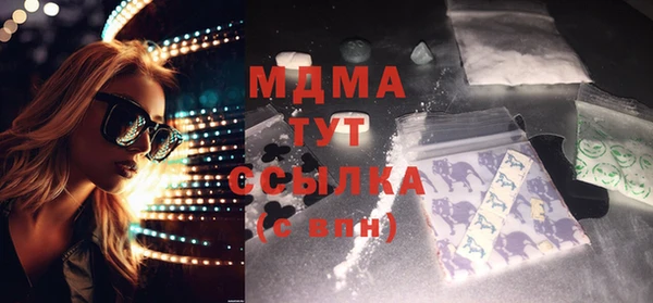 индика Богородск