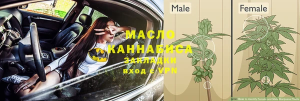 шишки Богданович