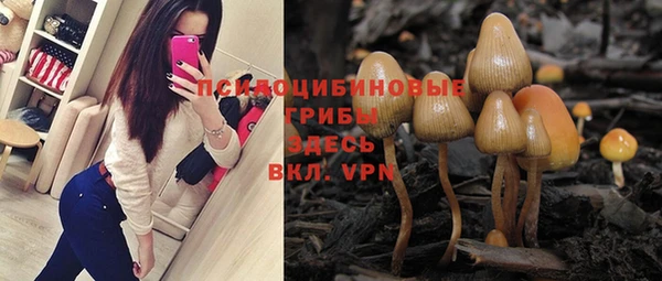 a pvp Белокуриха