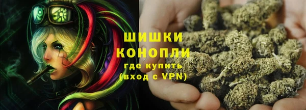 хмурый Нея