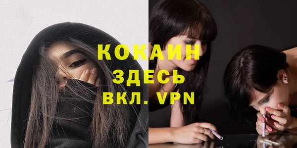 спайс Богородицк
